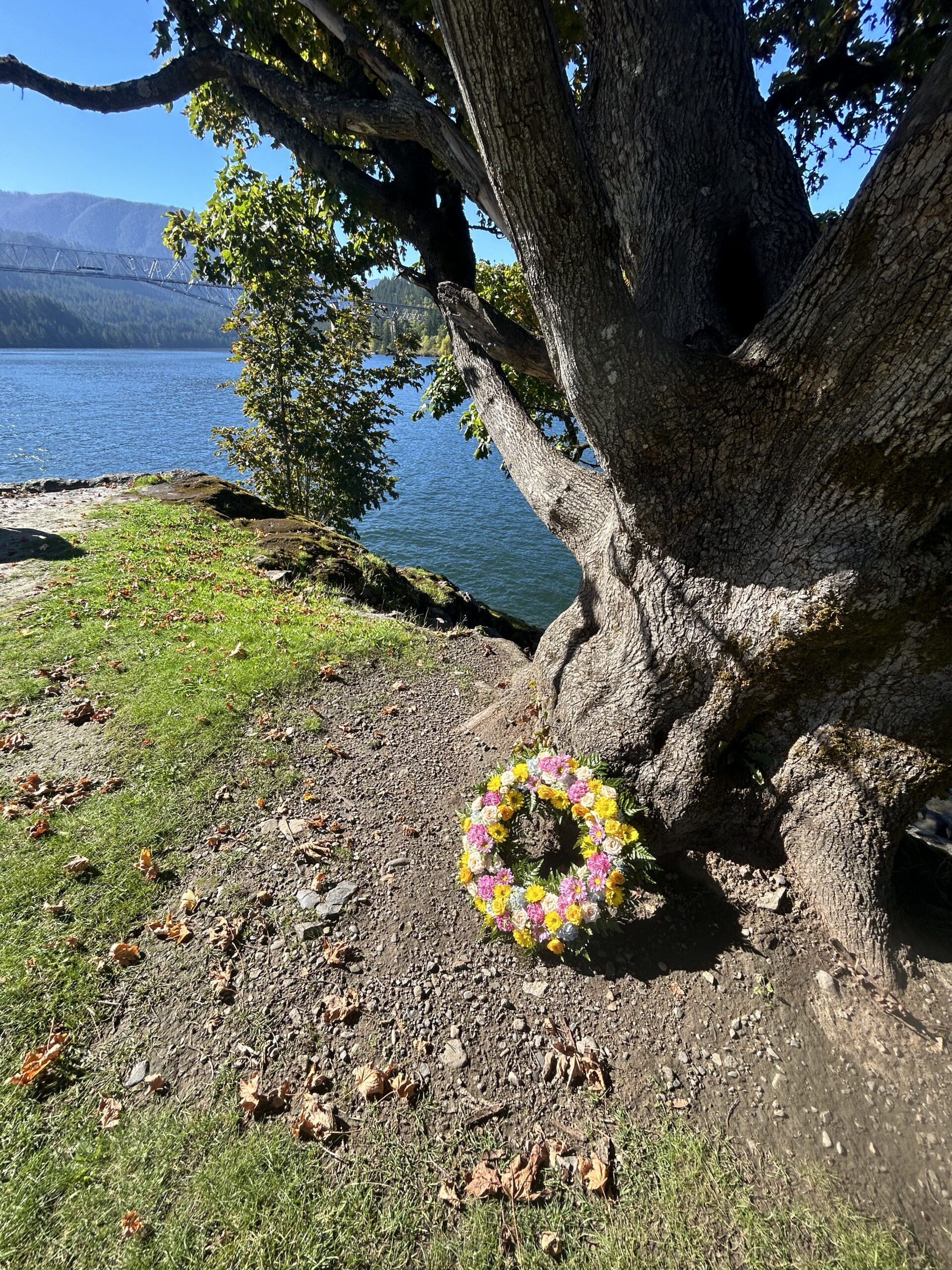 Circular floral wreath