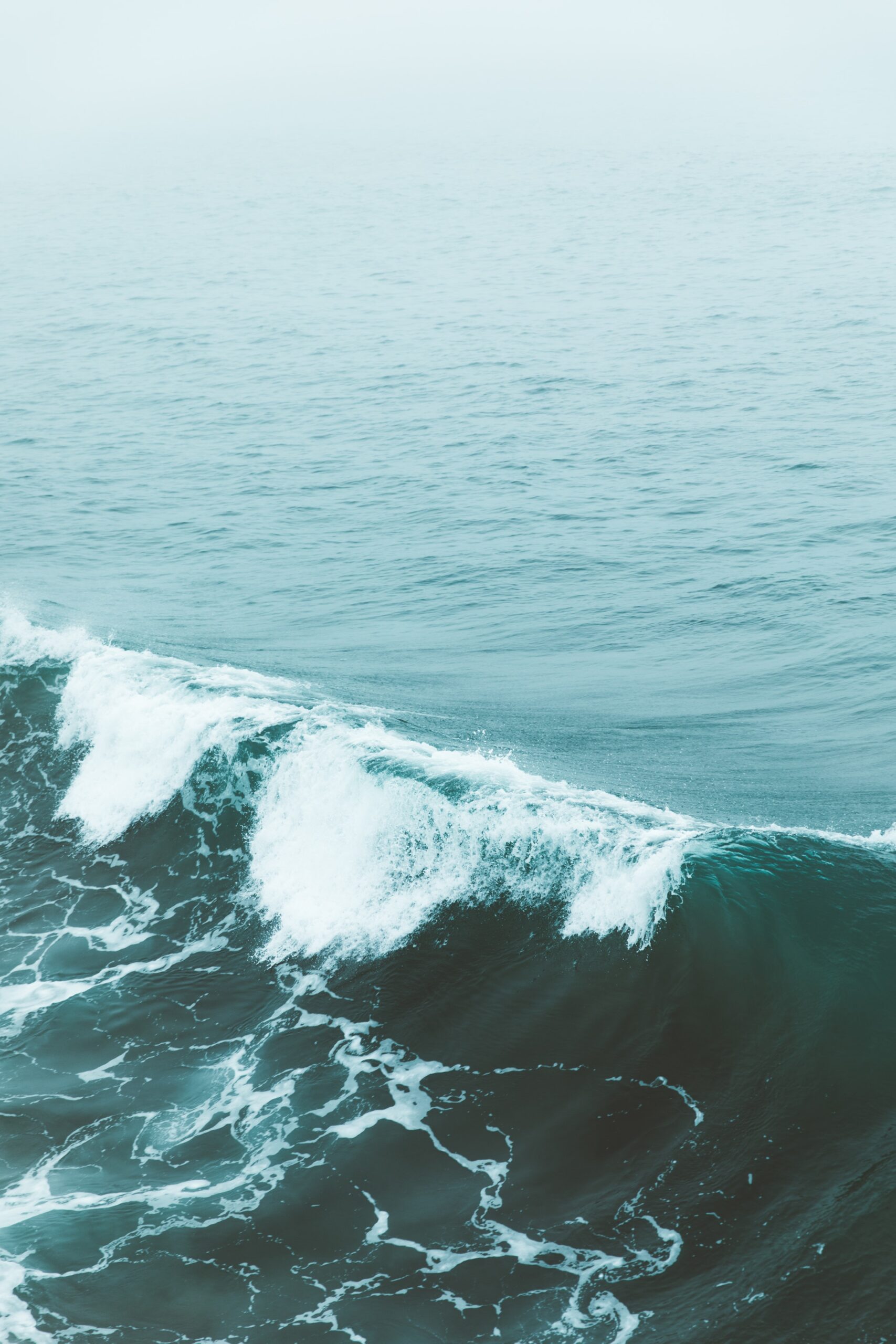 An ocean wave